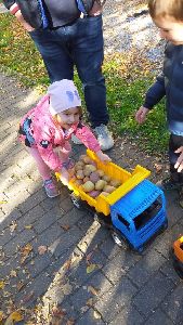 IMG-20221012-WA0010