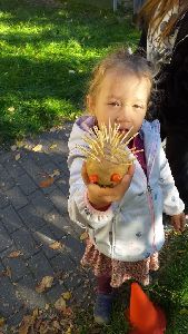 IMG-20221012-WA0016