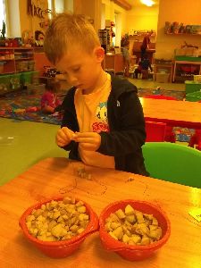 IMG_20221020_095506459