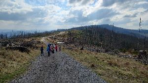 IMG_20230420_154702410_HDR
