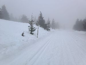 Karlov pod Pradědem (34)