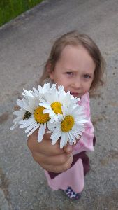 ŠVP Karolinka (8)
