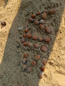 IMG20230918144225