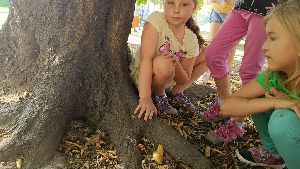 IMG20230912093452