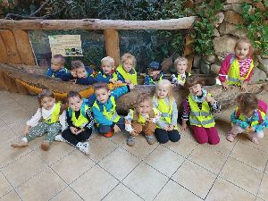 ZOO (11)