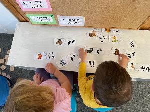 Podzim Vlčata (98)