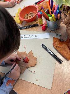 Podzim Vlčata (105)