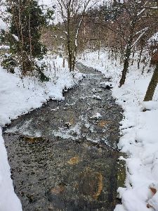 Ozdravný kurz 7. ročníky, Kazmarka, Jeseníky, 4. - 5. 12. 2023 (62)