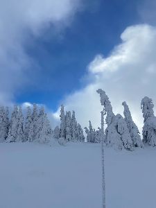 Ozdravný kurz 7. ročníky, Kazmarka, Jeseníky, mix (92)