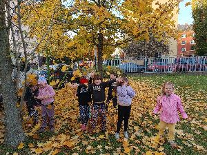 IMG20231030151529_01