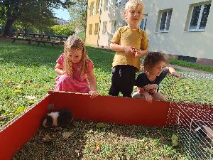 IMG20231003141426