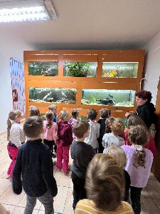 Stanice přírodovědců - krmítka 29