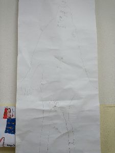 lidské tělo (66)