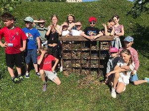 IMG_5352