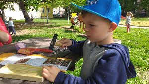 Projekt hmyzí domeček a ptačí budka (17)
