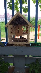 Projekt hmyzí domeček a ptačí budka (23)