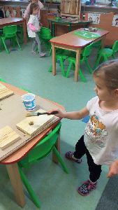 Projekt hmyzí domeček a ptačí budka (31)