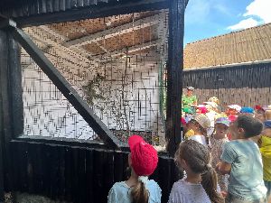 Výlet Kunín a ZSB (113)