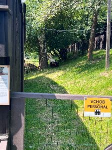 Výlet Kunín a ZSB (130)