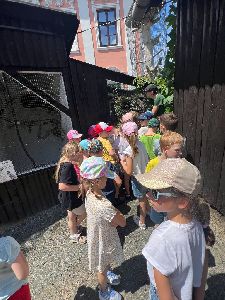 Výlet Kunín a ZSB (114)