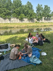 image_6209779 (17)