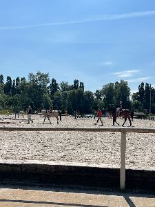 Hlučín (59)