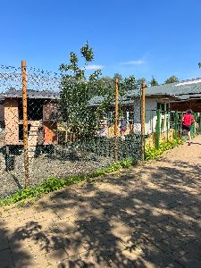 Hlučín (91)