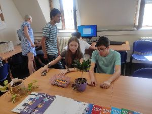 IMG_20240619_103514