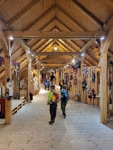 Slezskoostravský hrad (5)