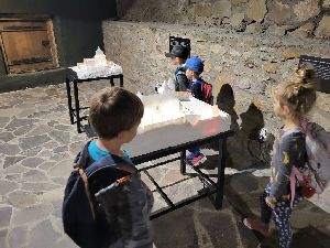 Slezskoostravský hrad (3)