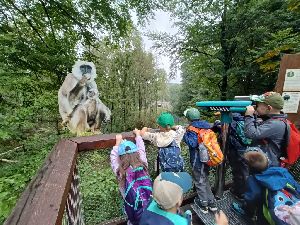 IMG20240910101349