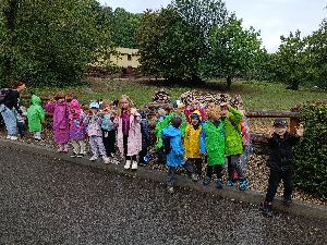 IMG20240910111656