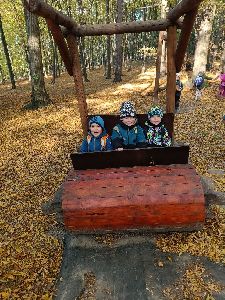IMG20241022093537