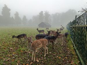 IMG20241024100408