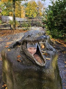 ZOO (42)