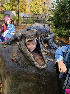 ZOO (30)