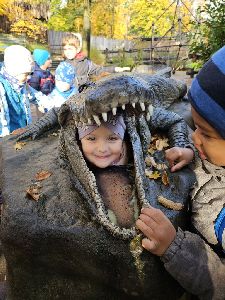 ZOO (27)