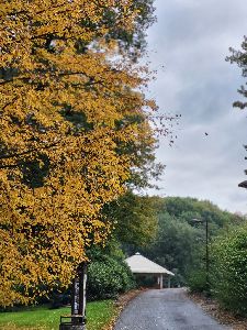 ZOO (19)