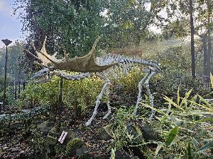 ZOO (23)