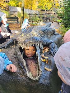 ZOO (6)