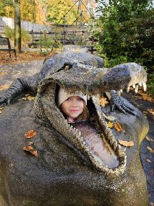 ZOO (34)
