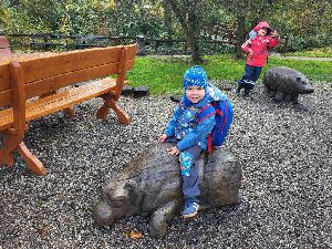 ZOO (14)