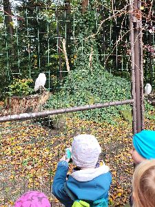 ZOO (21)