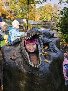 ZOO (28)