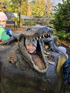 ZOO (31)