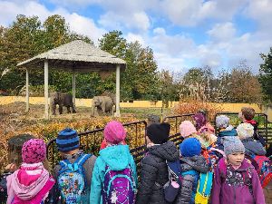 ZOO (11)