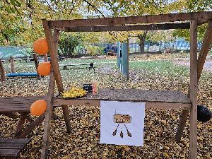Halloween (45)