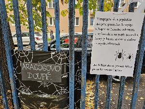 Halloween (44)