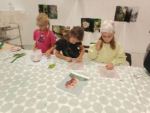 IMG_20241021_142805