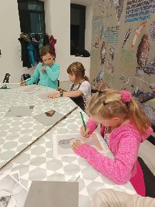 IMG_20241021_142801